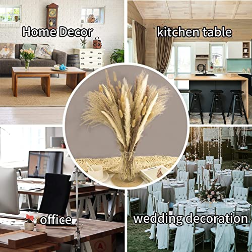 65PCS Pampas Grass Decor, Including pompas Floral, Reed Dried Grass and Bunny Tails Dried Flowers, Natural Dried Pampas Gr...