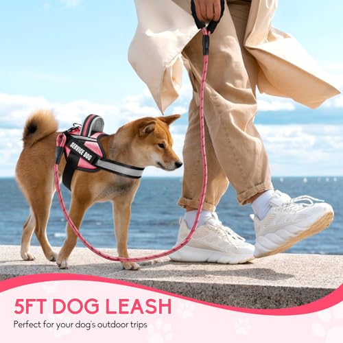 Service Dog Vest Harness and Leash Set, Animire in Training Dog Harness with 10 Dog Patches, Reflective Dog Leash with Sof...
