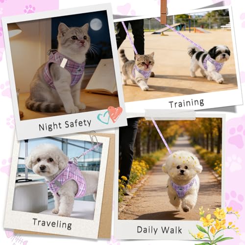 Gyuzh Dog Harness and Leash Set for Puppies - 3 Piece Step in No Pull Vest & Collar, Extra Small Kitten Harness, Breathabl...