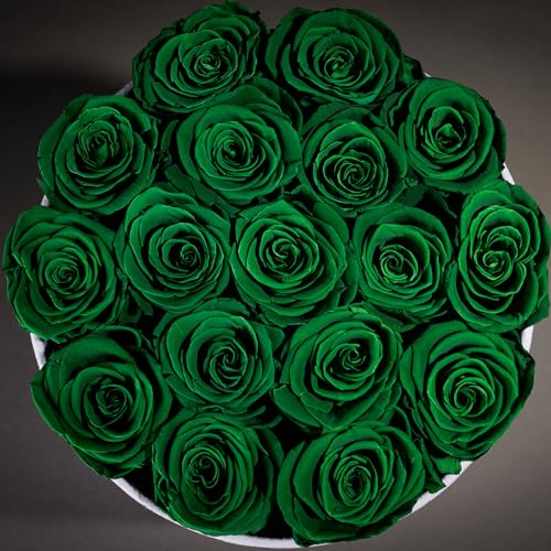 Prifroti 17 Flowers in a Luxury Suede Box, Birthday Gifts for Women, Preserved Flowers, Mothers Day Roses Gift for Mom, Da...
