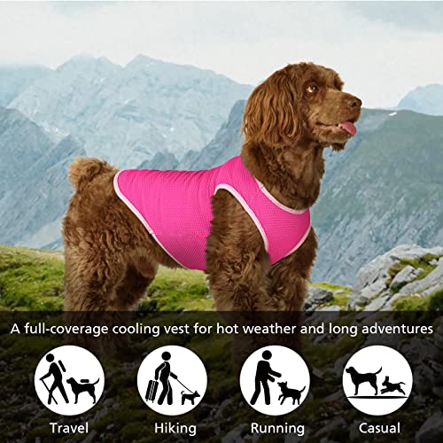 UNIPUP 2 Pack Cooling Shirts for Dogs, Lightweight Mesh Breathable Dog Shirt for Medium Dogs Girl,Sun-Protection Sleeveles...