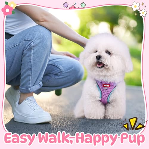 Coppthinktu Dog Harness with Leash Set for Small Sized Dogs Cats, No Pull Dog Harness Soft Mesh Cat Puppy Harness, Adjusta...