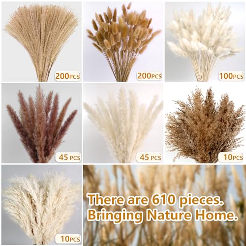 610 PCS Dried Pampas Grass Decor, Dried Flower Bouquets for Wedding, Home, Centerpiece Table, Modern Home, Western Living ...