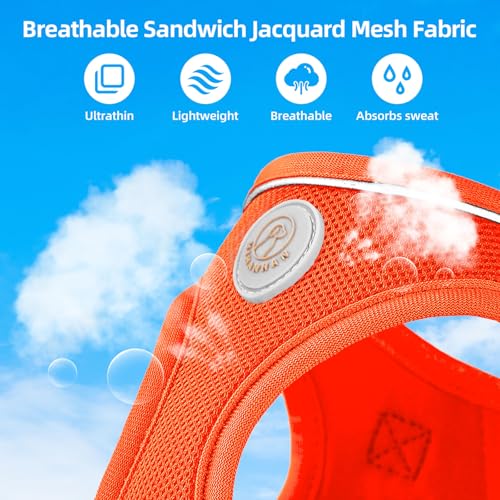 HIHANHAN Soft Mesh Dog Harness and Leash Set, No Pull Puppy Harness and Leash Set, Reflective Step in Harness for Small Me...