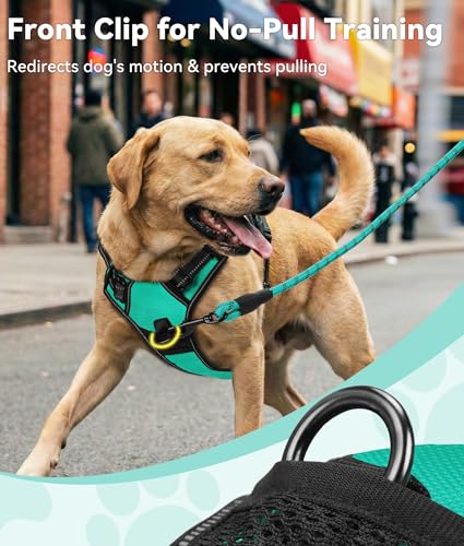Joytale No Pull Dog Harness Medium Sized Dog, Reflective Pet Vest with Front Clip, Adjustable Soft Padded Harnesses with E...