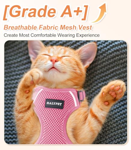 Halypet Cat Harness and Leash Set [ MAX Safety Third Generation ] Escape Proof Soft Adjustable Cat Leash Breathable Comfor...