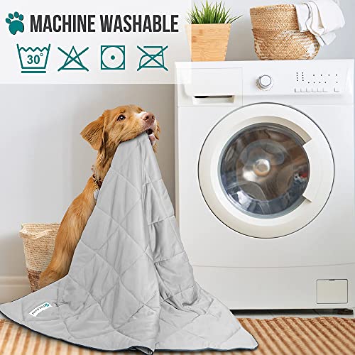 PetAmi Premium Cooling Dog Blanket | Lightweight Fluffy Pet Throw Blanket Bed Cover for Dogs, Cat, Puppies | Pet Blanket F...