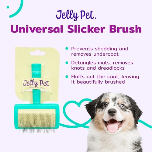 Jelly Pet Universal Slicker Brush for Dogs, Dog Grooming Brush, Remove Tangles and Dead Undercoat, Tuffer Than Tangles, Ma...