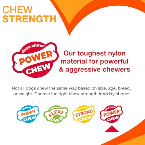 Nylabone Original Bone Power Chew Toy Value Pack for Dogs, Durable Dog Toys for Aggressive Chewers, Long Lasting Chicken, ...