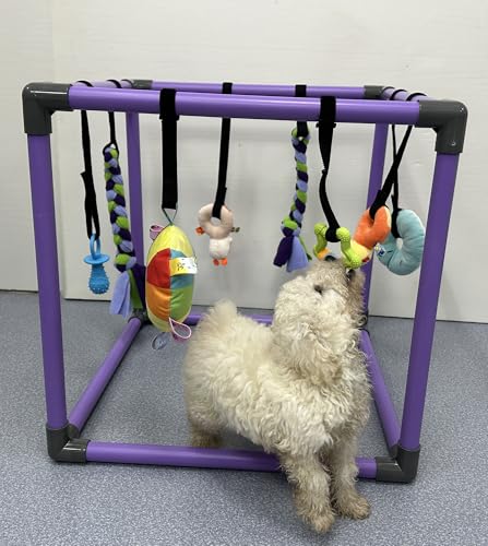 DOZZOPET Puppy Play Gym for Small Dogs with 8 Hanging Toys, Jungle Playground with Interactive Funny Enrichment Toys to Ke...