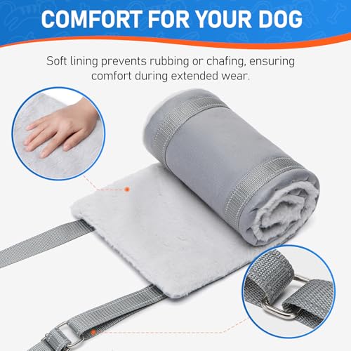 Dog Lift Harness for Medium Dog, Adjustable Dog Sling for Back Legs, Hip Support Harness to Help Lift Dogs Rear for Helps ...