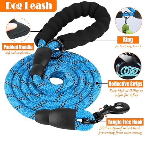 LOBEVE No Pull Dog Harness, Collar & Leash Set | Includes Dog Seat Belt, Collapsible Bowls & Poop Bag Dispenser. Ideal for...