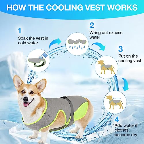 COMFPET Dog Cooling Vest, Lightweight Cooling Vest for Small Dogs (44-66lbs), Adjustable and Comfortable Cooling Jacket - ...