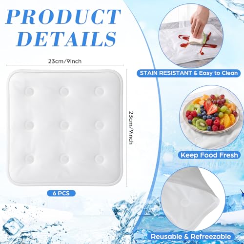 LemonRoad 6 Pcs Cooling Mat for Food Buffet Table, 9 x 9 Inches Reusable Freezable Ice Mat Cooling Serving Pads Chilled Se...