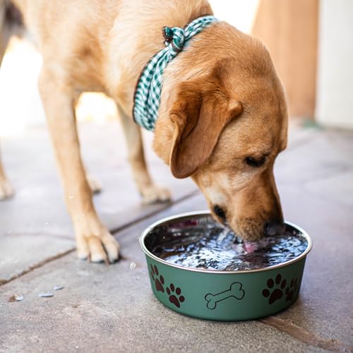 Loving Pets Bella Dog Bowls- Stainless Steel Dog & Cat Bowls - Spill Proof Dog Food Bowl, Cat Bowl, Puppy Essentials & Pet...