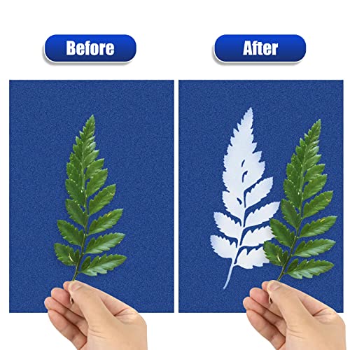 Sun Print Paper Kit Cyanotype Paper, 24 Sheets Cyanotype Papers with 1 Sheet Acrylic Panel, High Sensitive Nature Sun/Sola...