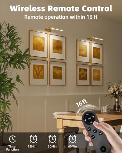 EZVALO Picture Light for Wall, 4800mAh Rechargeable Wireless Remote, 16in Dimmable Magnetic LED Art Display Light with 3 C...