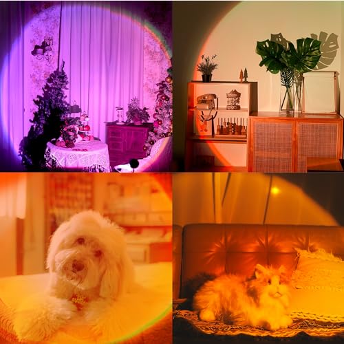 Tsrarey Sunset Lamp Projection, Not Only 21 Colors Sunset Lights, 180 Degree Rotation Led Light, Push Button Switch & APP ...
