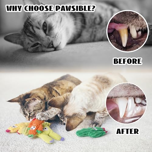 Pawsible Cat Toys for Indoor Cats, 100% Pure Organic Catnip-Filled Toys Without Cotton, Interactive Cactus Kitten Toy for ...