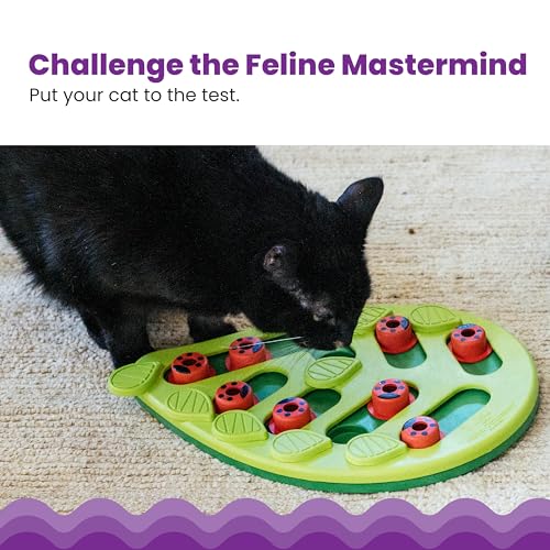 Catstages Nina Ottosson Buggin' Out Puzzle & Play – Interactive Cat Puzzle Feeder for Indoor Cats, 16 Hidden Treat Compart...