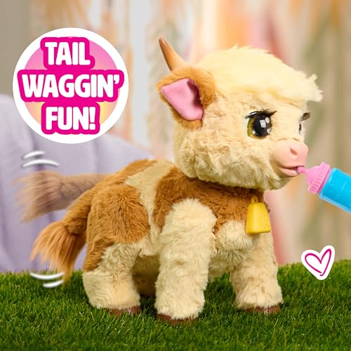 FurReal Maggie the Feed & Follow Cow, 11 Inch Interactive Highland Mini Cow, for Boys and Girls, Ages 4 and up