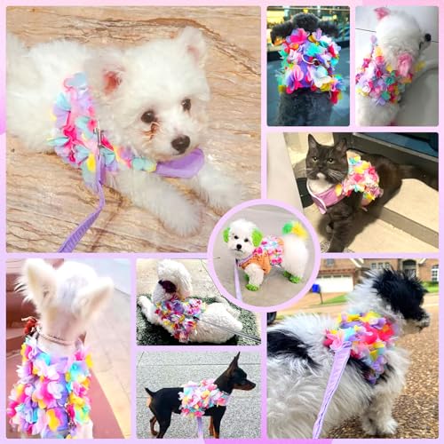 TENGZHI Cute Small Dog Harness and Leash Set Purple Lace Floral Girl Puppy Harness for Small Dogs Cats Soft Mesh Dog Vest ...