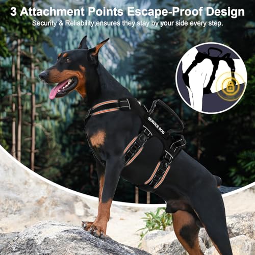 Escape Proof Dog Harness for Large Medium Sized Dogs Six Point Adjustable, Service Dog Vest Harness and Leash Set, No Pull...