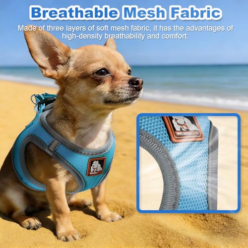 Dog Harness Medium Sized Dogs, Puppy Harness and Leash Set for Training, Running, Walking, Suitable for Small and Medium D...