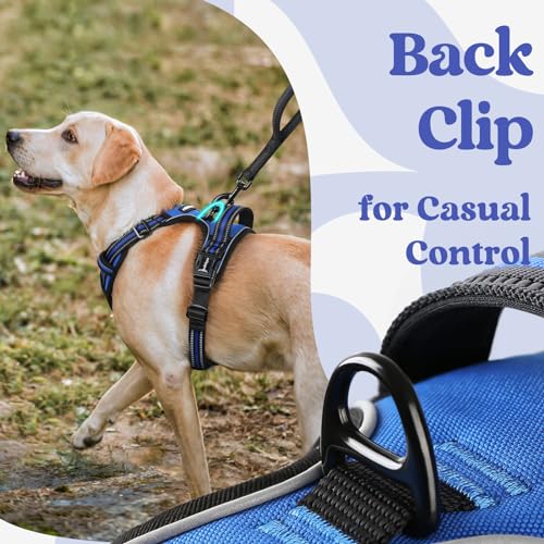 rabbitgoo Dog Harness for Large, No Pull Pet Harness with 3 Buckles, Adjustable Soft Padded Vest with Control Handle, Walk...