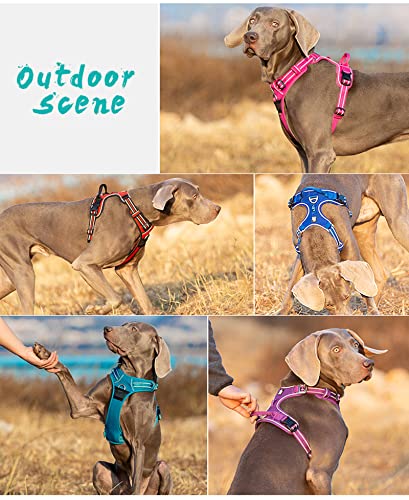 TRUE LOVE Dog Harness No Pull Nylon Reflective Pet Harness Adjustable Comfortable Control Step-in Brilliant Colors Truelov...