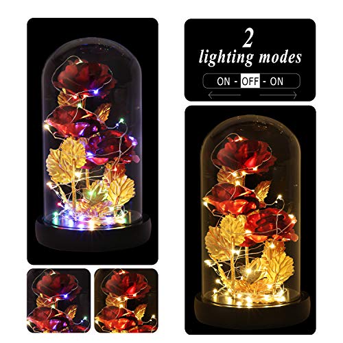 Mothers Day Flower Gifts for Mom,Wife,Mother Rose Galaxy Flower Red Rose in Glass Dome,Light Up Rose Flowers with 2 Lighti...