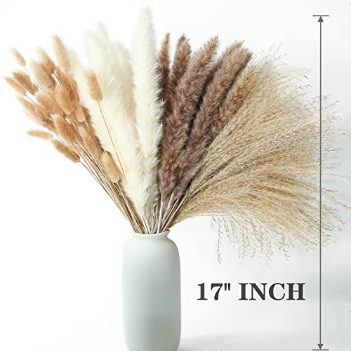 200PCS Dried Flower Bouquet – Pampas Grass, Floral Decor for Home, Wedding, and Boho Style | Perfect for Vases, Fall, Spri...