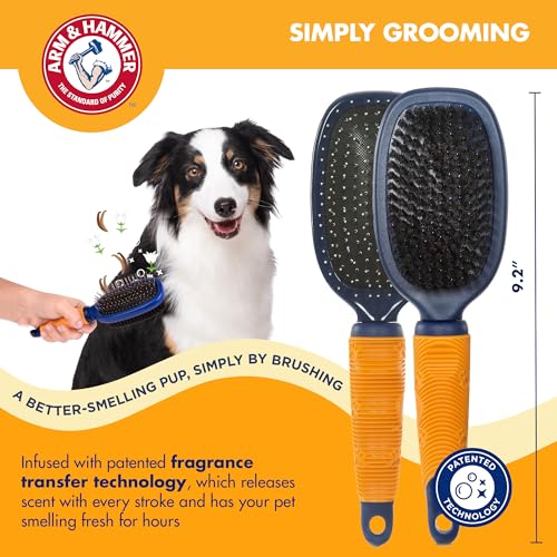 Arm & Hammer Deodorizing Pin & Bristle Dog Grooming Brush with Fragrance Transfer Technology – Scented 2-in-1 Dog Brush fo...
