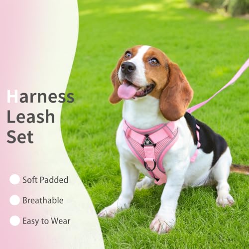Jolifield No Pull Dog Harness with Leash Set for Small Sized Dog, Reflective Adjustable No Choke Front Clip Cat Vest Harne...