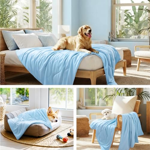 Luciphia Premium Cooling Dog Blanket Washable Q-MAX>0.5 Small Medium Large Pet Mat Puppy Cat Self-Cooling Soft Breathable ...