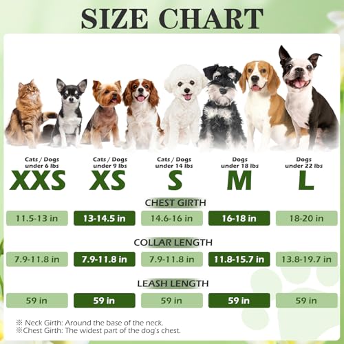 EXPAWLORER Small Dog Harness and Leash Set - Cute Puppy Harness Leash Dog Collar with AirTag Holder Silicone Case, Soft Pa...
