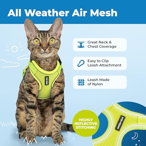 Voyager Escape-Proof Step-in Lock Cat Harness & 5ft Neoprene-Handle Leash Set All-Weather Mesh with Reflective Stitching f...