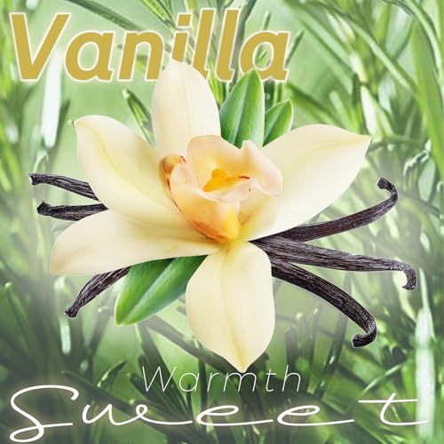 DARJEN Vanilla Candles for Home- 6.3oz 42H Natural Soy Wax Aromatherapy Jar Candle with Strong Scent, Decorative Aesthetic...