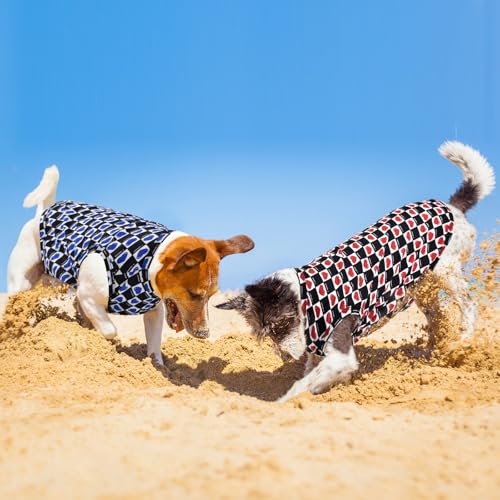 Y-blue Dog Cooling Vest, Quick Dry Dog Summer Clothes Pet Vest Puppy Shirts, Sleeveless Dogs Cooling T-Shirts for Small Me...