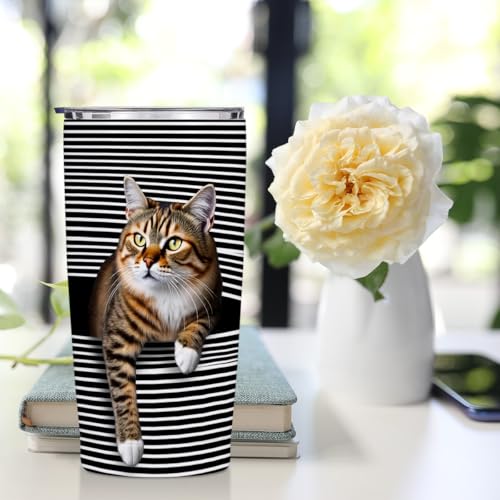 Jztco Cat Gifts for Women 20 oz Tumbler, Funny Cats Stainless Steel Insulated Water Bottle, Cats Themed Insulated Travel C...