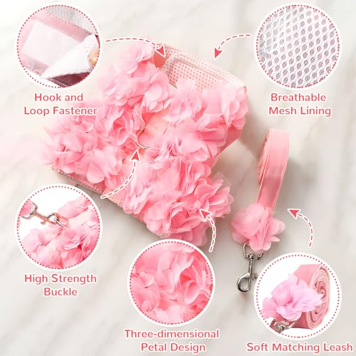 TENGZHI Cute Small Dog Harness and Leash Set Pink Lace Floral Girl Puppy Harness for Small Dogs Cats Soft Mesh Dog Vest Ha...