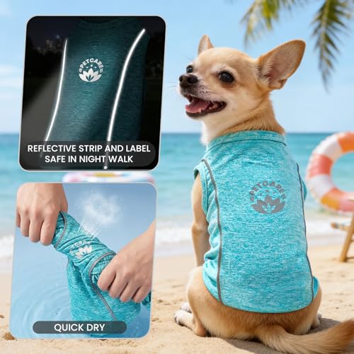 PETCARE Dog Shirt Clothes for Small Medium Dogs Cats Reflective Soft Stretchy Sun Protection Dog T-Shirts Cooling Vest Pup...