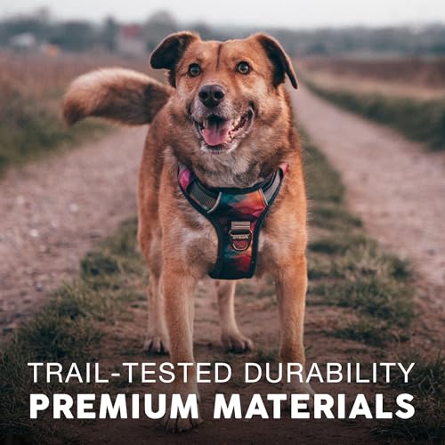 Embark Adventure No Pull Dog Harness, Reflective Trim No Pull Harness for Medium Sized Dog - Military Grade Nylon, Front C...