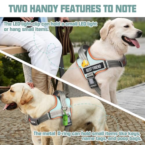 AUROTH Dog Harness and Leash Set, Soft Padded Service Dog Vest with 5.25FT Dog Leash, No Choke, Easy On Pet Vest, Adjustab...
