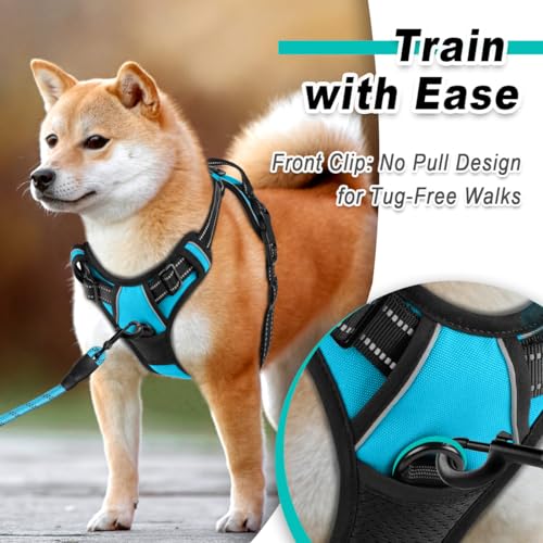 BARKBAY Dog Harness No Pull for Large Dogs - Adjustable, Reflective, Comfortable, No Choke, Heavy-Duty - Perfect for Outdo...