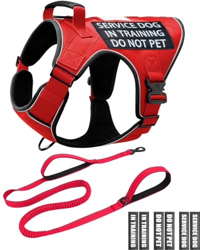 Service Dog in Training Vest Leash Set, Reflective Do Not Pet Dog Harness with Handle and 6 Patches, Full Metal Buckles, f...