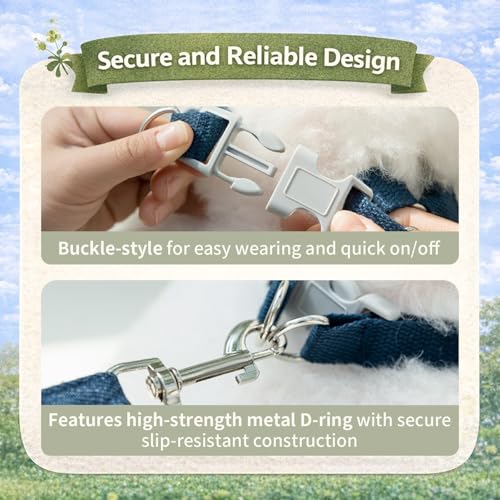 Persevere Hands Free Dog Leash and Harness Set, Adjustable No Pull Puppy Harness, Soft Breathable H-Type Vest for Small Me...