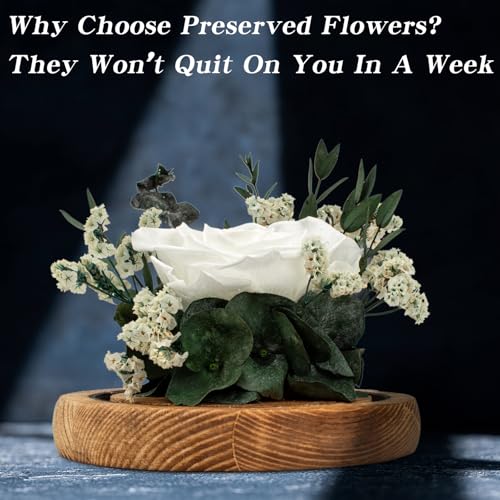 Regalo Flor Preserved Roses & Preserved Flowers Gift for Women, Roses that Last Forever, Flowers for Delivery Prime, White...