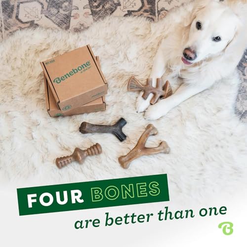 Benebone Medium 4-Pack Dog Toys for Aggressive Chewers – Durable Dog Bones, Made in USA – Dog Toys for Medium Dogs Under 6...