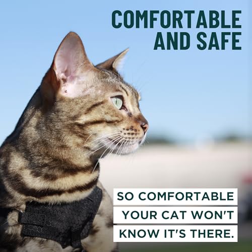 Houdini™ Escape Proof Cat Harness and Leash Set by OutdoorBengal – Tactical Vest for Walking – Comfy, Adjustable and Light...